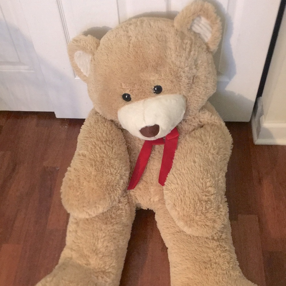 Teddy bear
